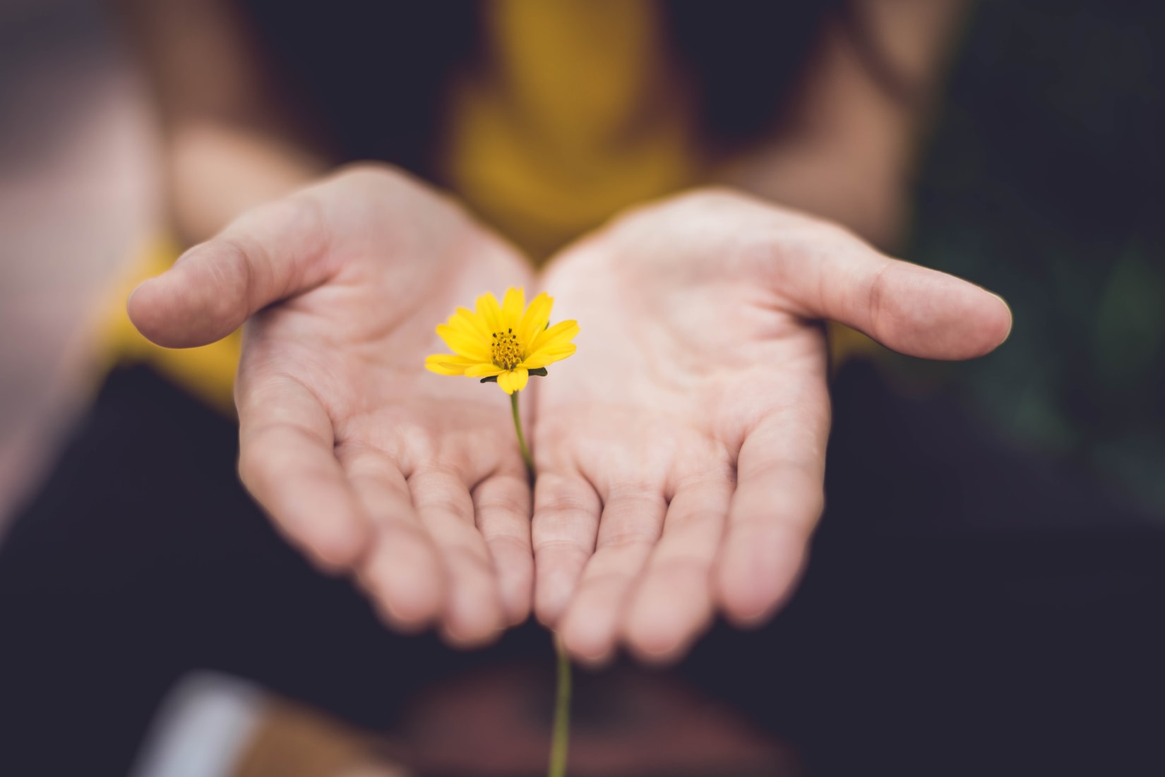 way-to-give